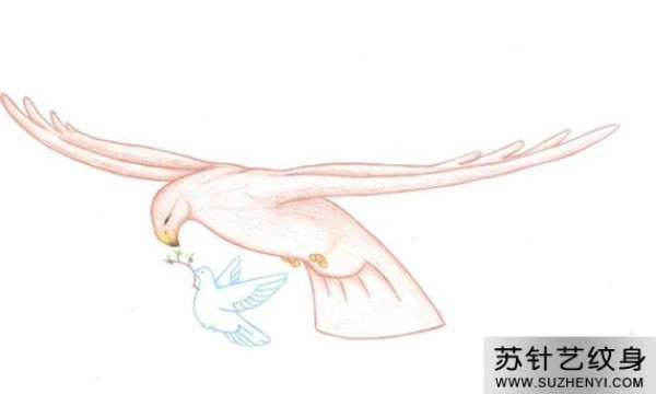 时尚和平鸽图腾纹身手稿