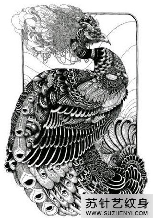 黑色个性孔雀纹身手稿
