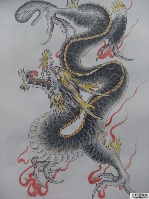 时尚彩色的火龙纹身手稿