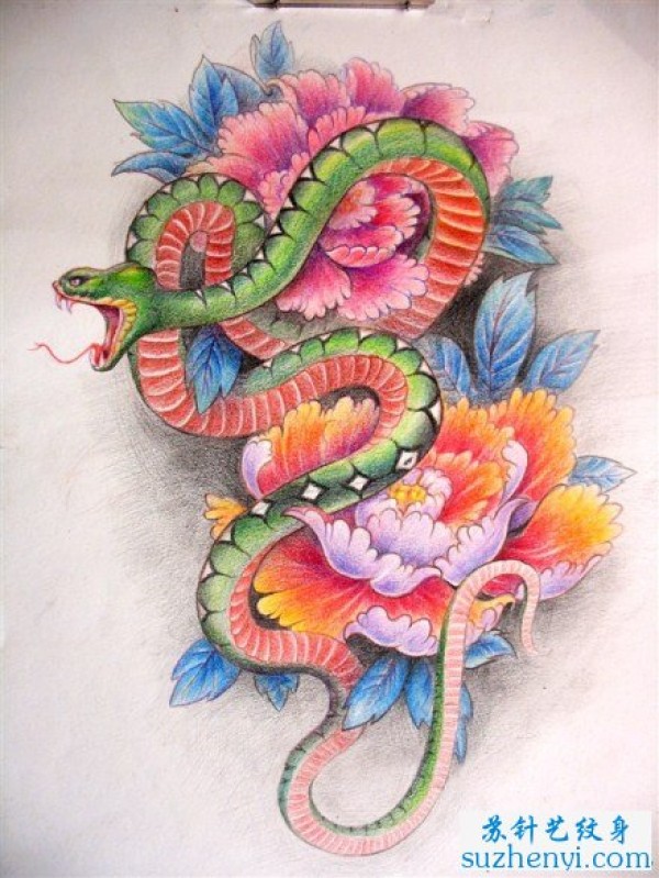 一枚彩色蛇牡丹纹身手稿纹身图案