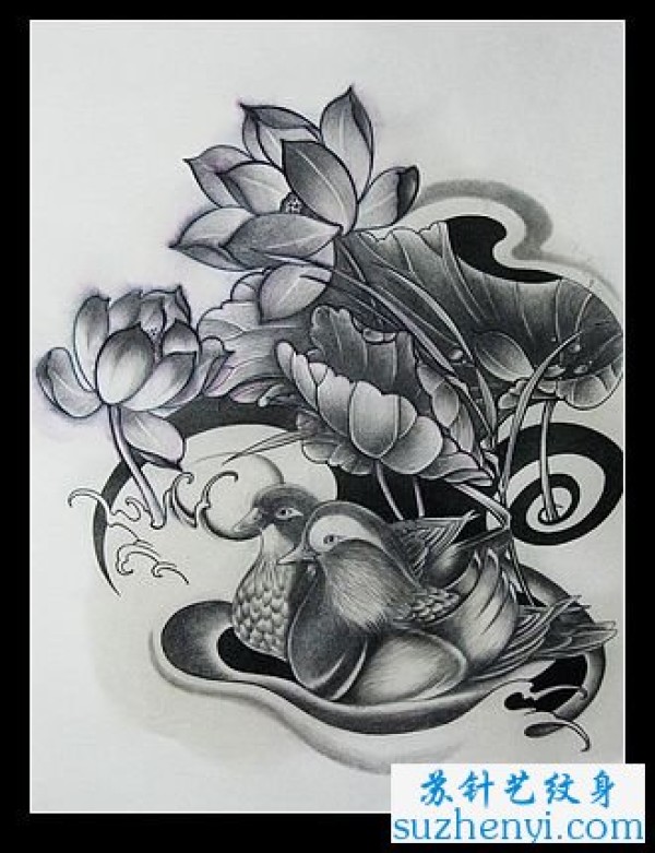 鸳鸯荷花素描手稿纹身