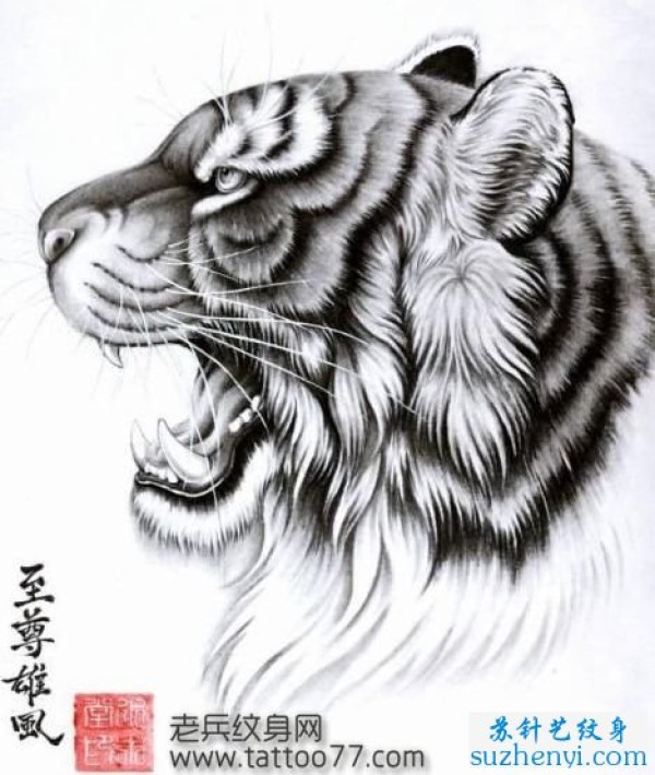 老虎虎头纹身手稿