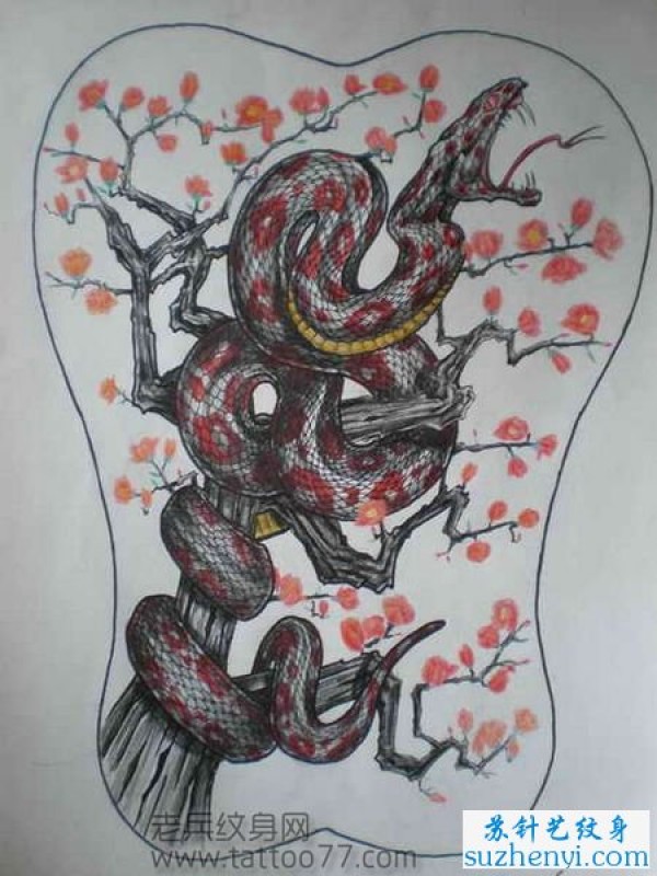 满背蛇梅花纹身手稿