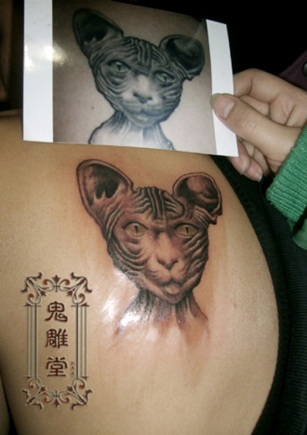 鬼雕堂刺青处作品