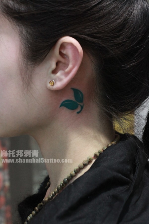 绿芽