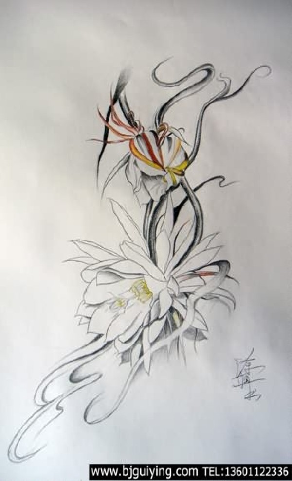 昙花纹身手稿本店纹身手稿