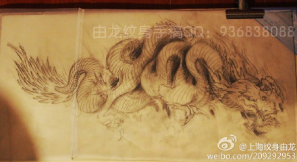 传统龙纹身手稿