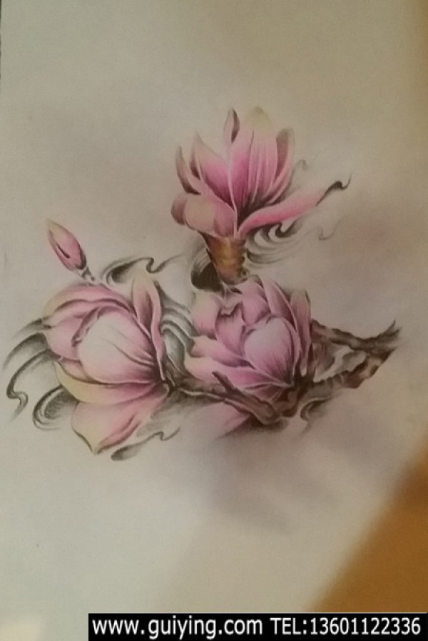 木兰花纹身手稿