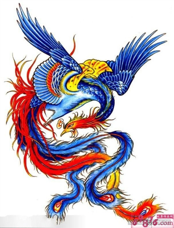 传统凤凰纹身手稿