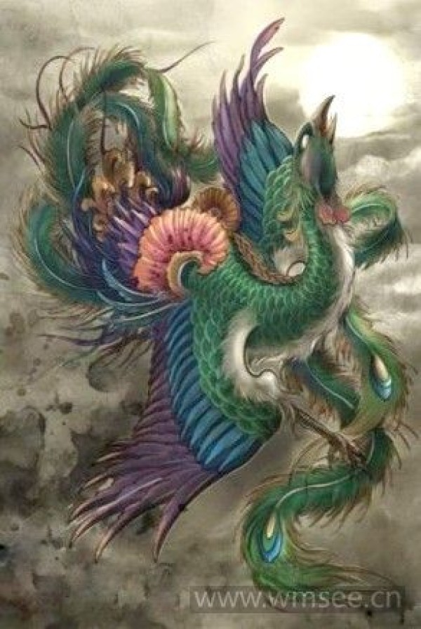 彩色凤凰纹身手稿