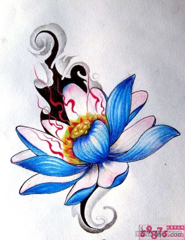 莲花彩色纹身手稿