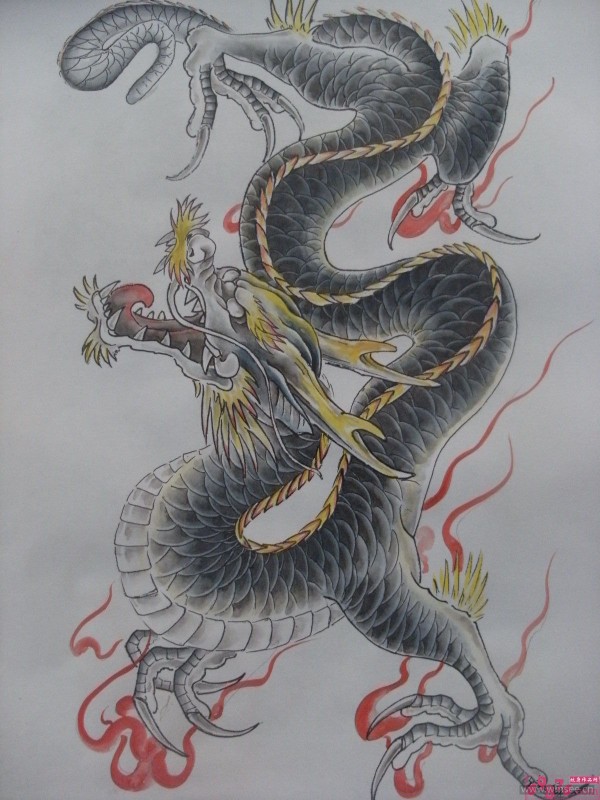 彩色的龙纹身手稿