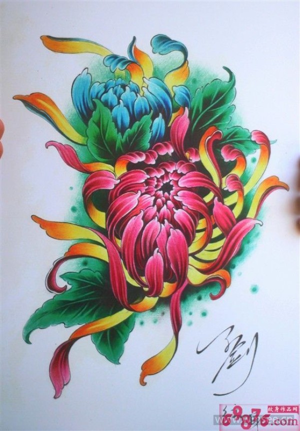 彩色传统菊花纹身手稿