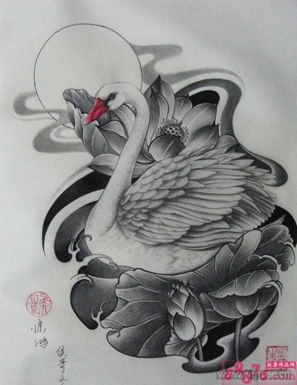 天鹅荷花纹身手稿
