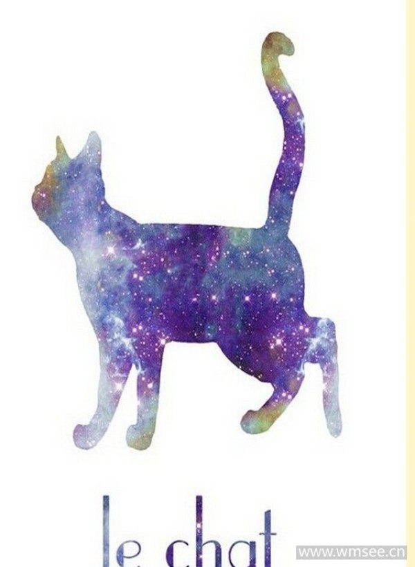 漂亮星空猫咪纹身手稿图案