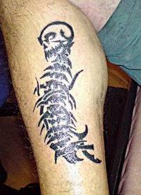 一条大爬虫似的纹身