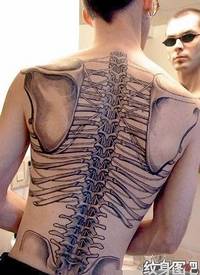 脊椎和肩胛骨纹身