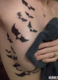 女孩胸部13只黑色的蝙蝠图腾纹身图案
