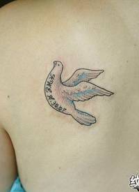 一只小巧可爱的小白鸽纹身图案