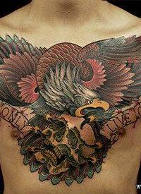 男生前胸超酷的老鹰与骷髅纹身图案
