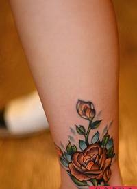 一张脚踝玫瑰花纹身图案