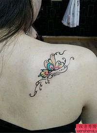 女性肩背彩色蝴蝶纹身图案
