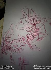 纹身图吧分享一张金鱼文身线稿作品