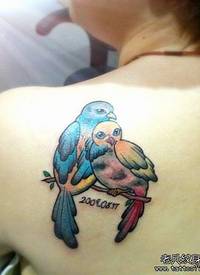 女生肩背彩色小鸟纹身图案
