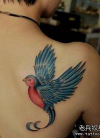 一款美女肩背彩色小鸟纹身图案