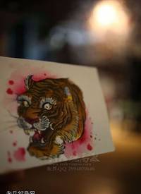 彩色个性老虎头纹身手稿图片
