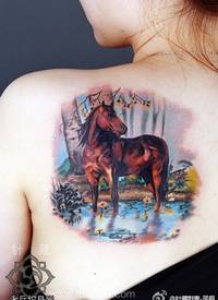 女生背部彩色个性写实马纹身图案