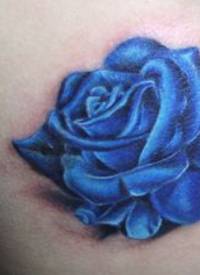 背部彩色蓝玫瑰纹身图案