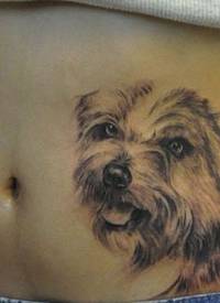 腹部小狗纹身图案