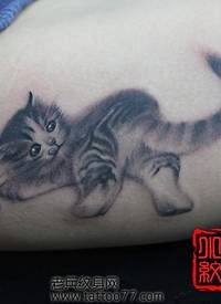 女生喜欢的可爱猫咪纹身图案