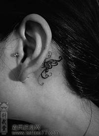 女孩子喜欢的耳部图腾蝴蝶纹身图案