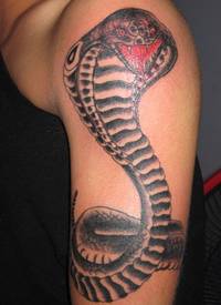 手臂蟒蛇纹身图案-蚌埠纹身图吧霞艺纹身分享