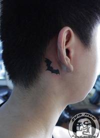 耳部潮流时尚的图腾蝙蝠纹身图案
