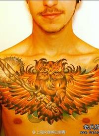 男人前胸超帅的猫头鹰纹身图案