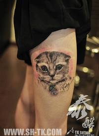 女生腿部呆萌可爱的猫咪纹身图案