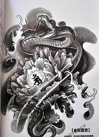 适合大臂包腿的金蛇富贵纹身手稿图案