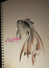 胖金鱼纹身手稿图片