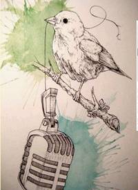 分享一款素描鸟纹身