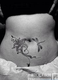 女生腹部时尚的黑白百合花与蜻蜓纹身