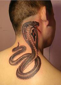 个性男生脖子经典时尚好看的蛇纹身图图片