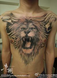有霸气的胸口狮子纹身图案