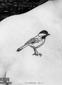 肩部一只点刺的鸟儿纹身图案