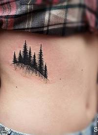 腹部的松树纹身图案