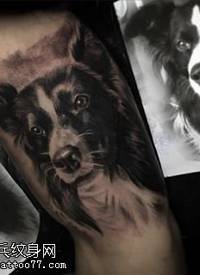 小腿的爱狗纹身图案