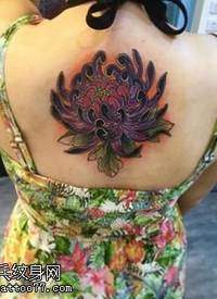 背部的黑菊花纹身图案