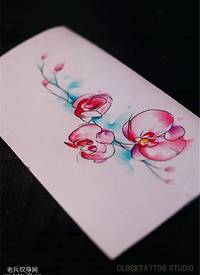 彩色花纹身手稿图案